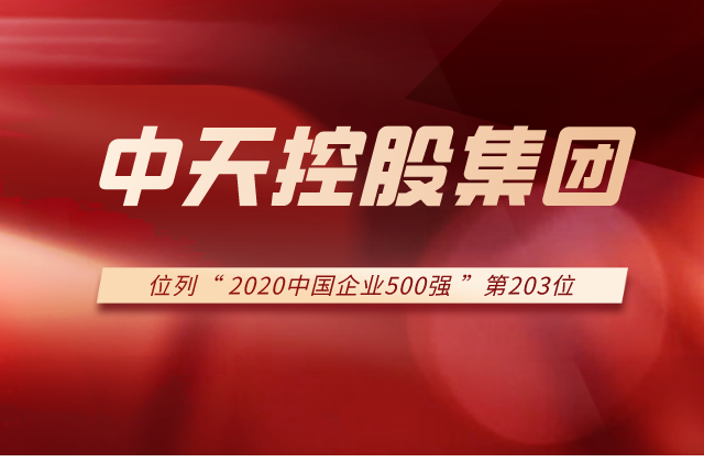 w66旗舰厅集团列2020中国企业500强第203位！